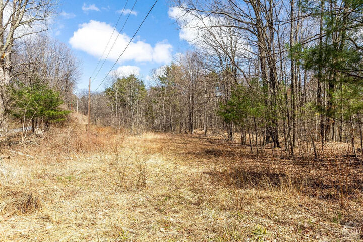 Property Photo: 0 Cauterskill Rd NY 12414