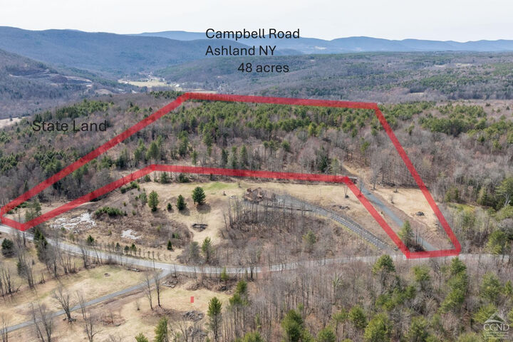 Property Photo:  0 Campbell  NY 12407 