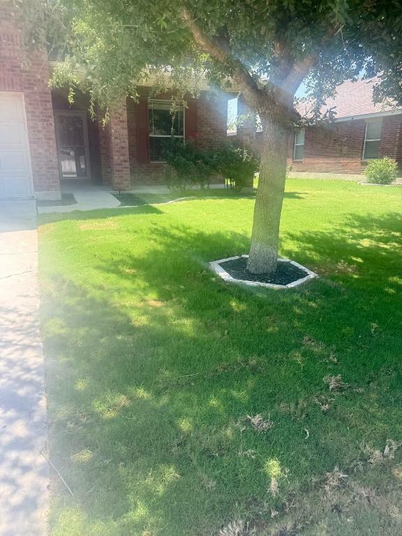 Property Photo: 20224 Stanley Robin Lane TX 78660