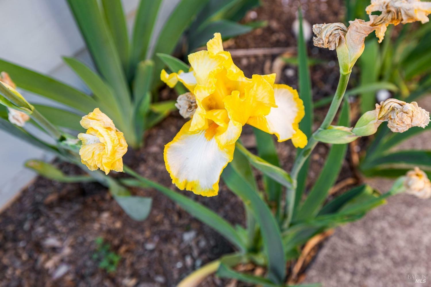 Property Photo: 2638 Valley Center Drive CA 95405