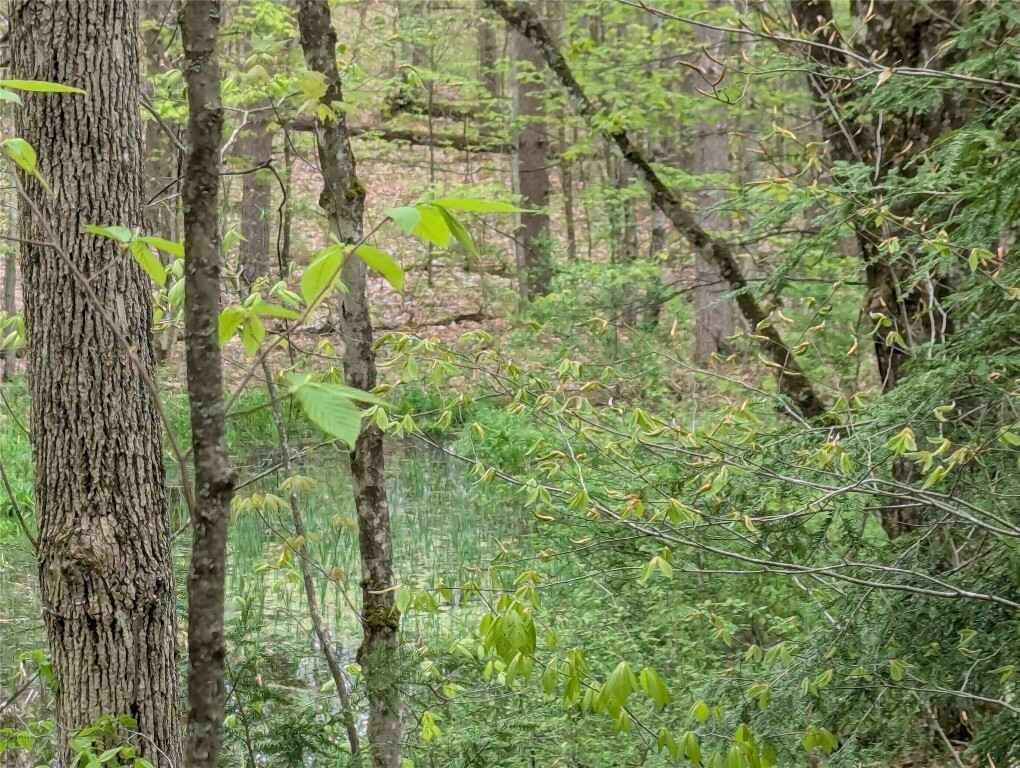 Property Photo: 00 Union Hill Road NY 13743