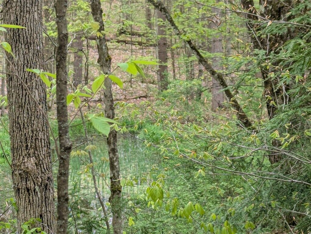 Property Photo: 00 Union Hill Road NY 13743