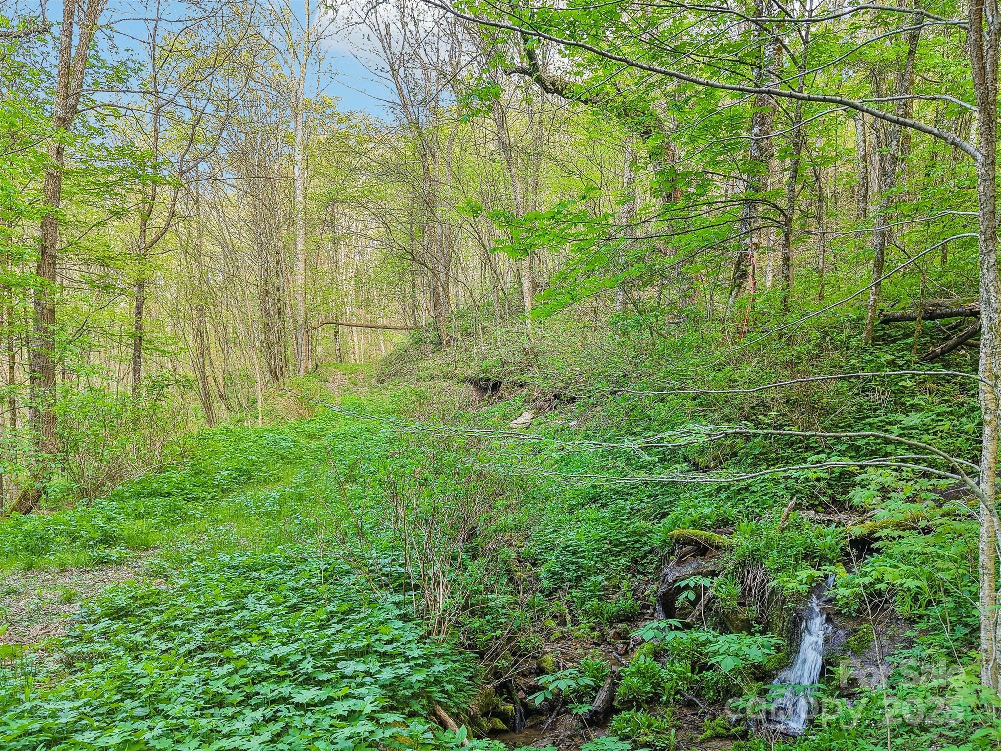 Property Photo: 0 Star Crest Drive NC 28785