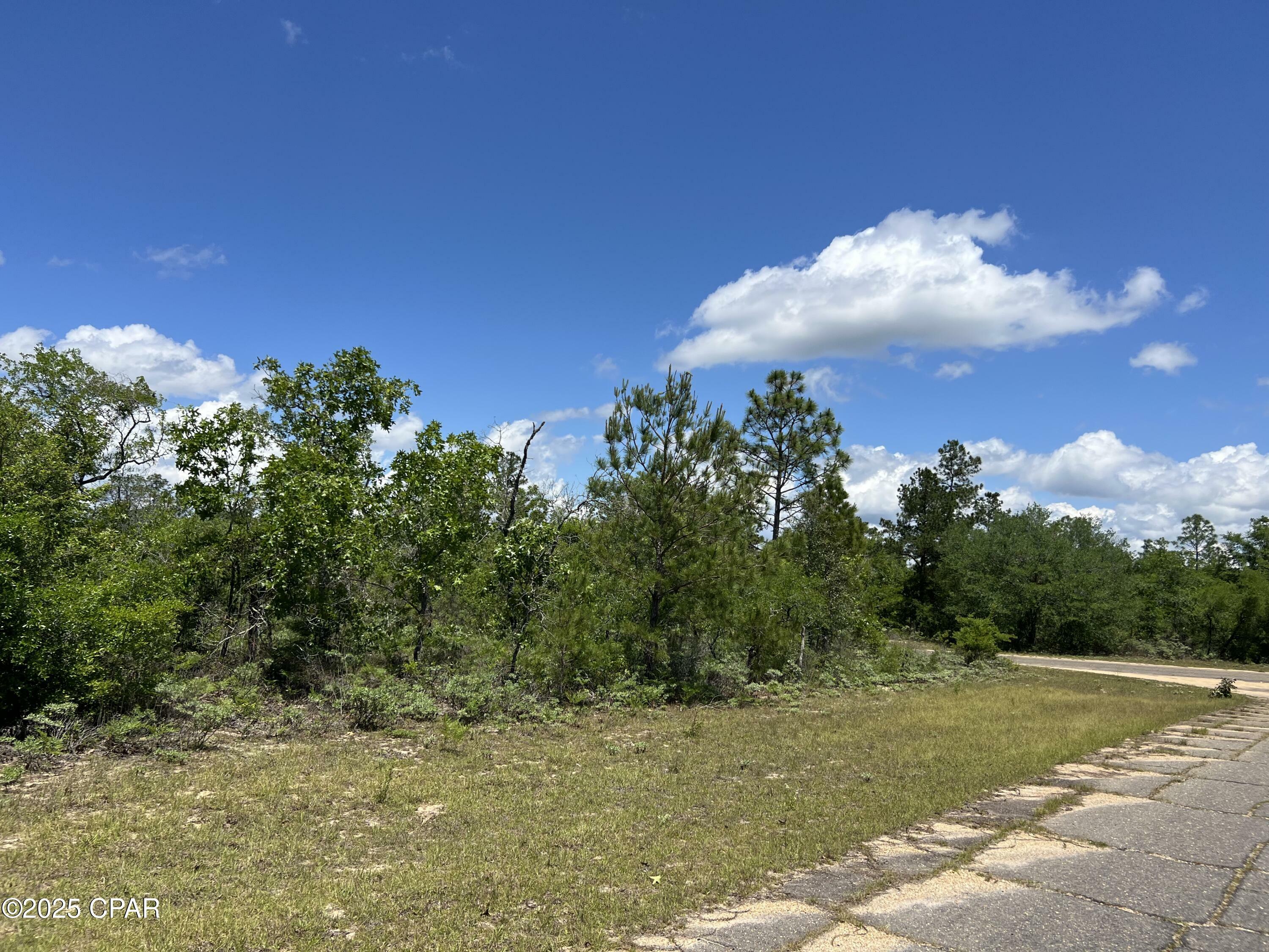 Property Photo: 000 Millwood Place Place FL 32428