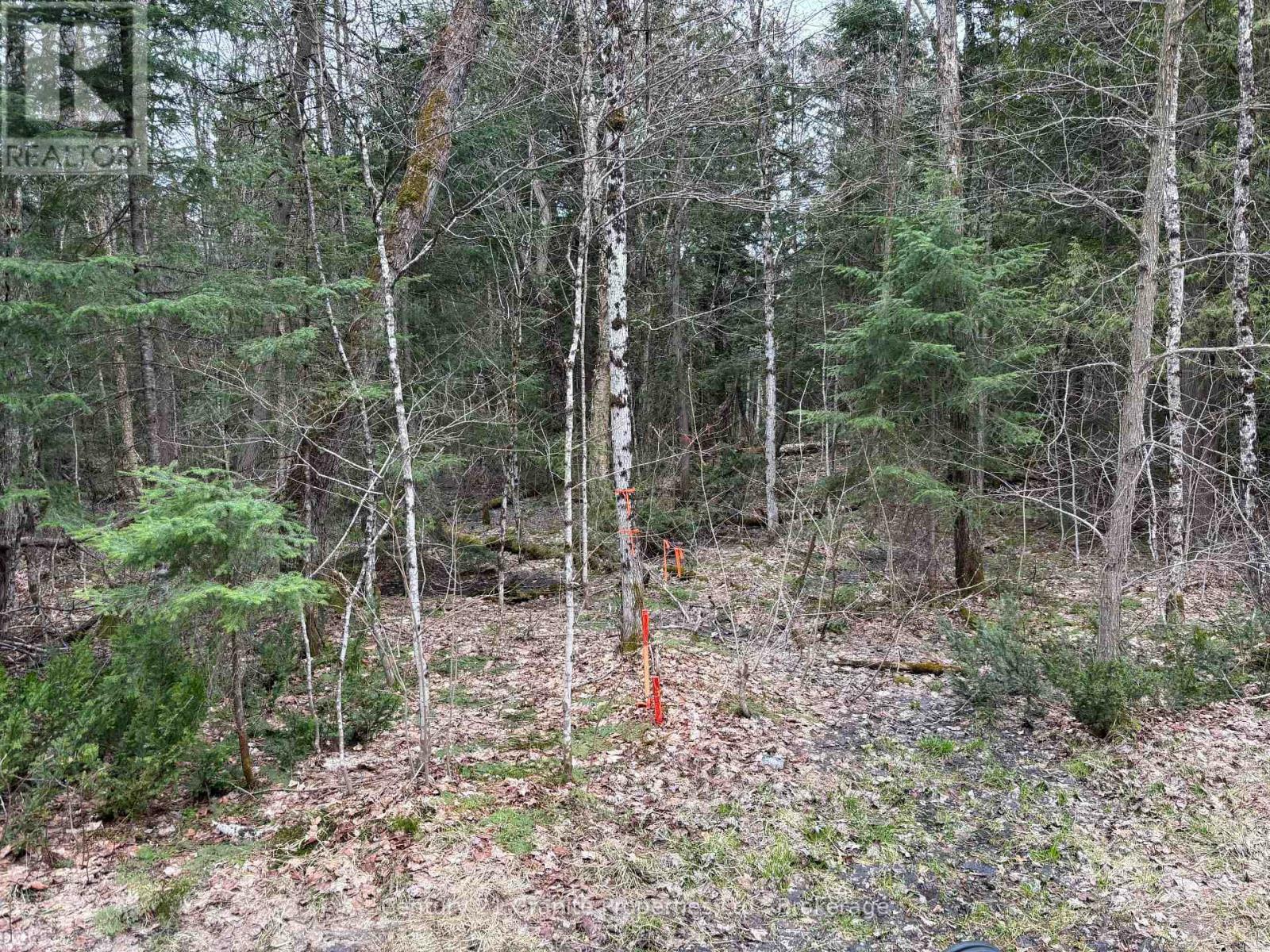 Property Photo:  Lot 1 Loch Erne Road  ON P2A 2W7 