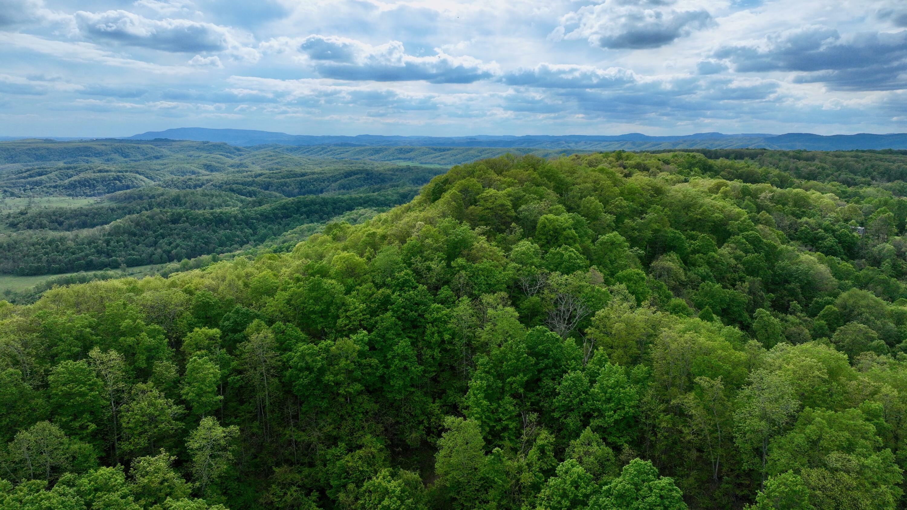 Property Photo: Tbd Chestnut Flats Road WV 24901