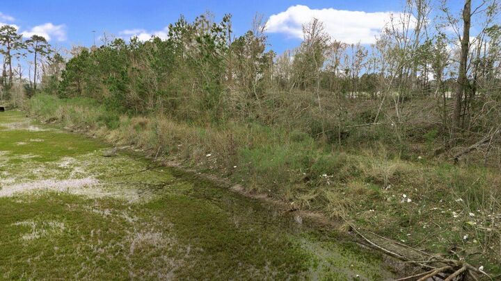 Property Photo:  24215 Highway 69N  TX 77365 