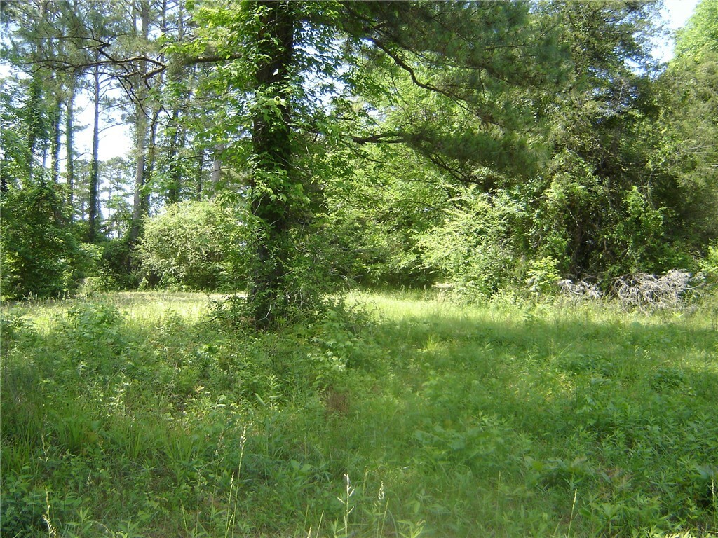 Property Photo: 0 County Road 213 AL 36863
