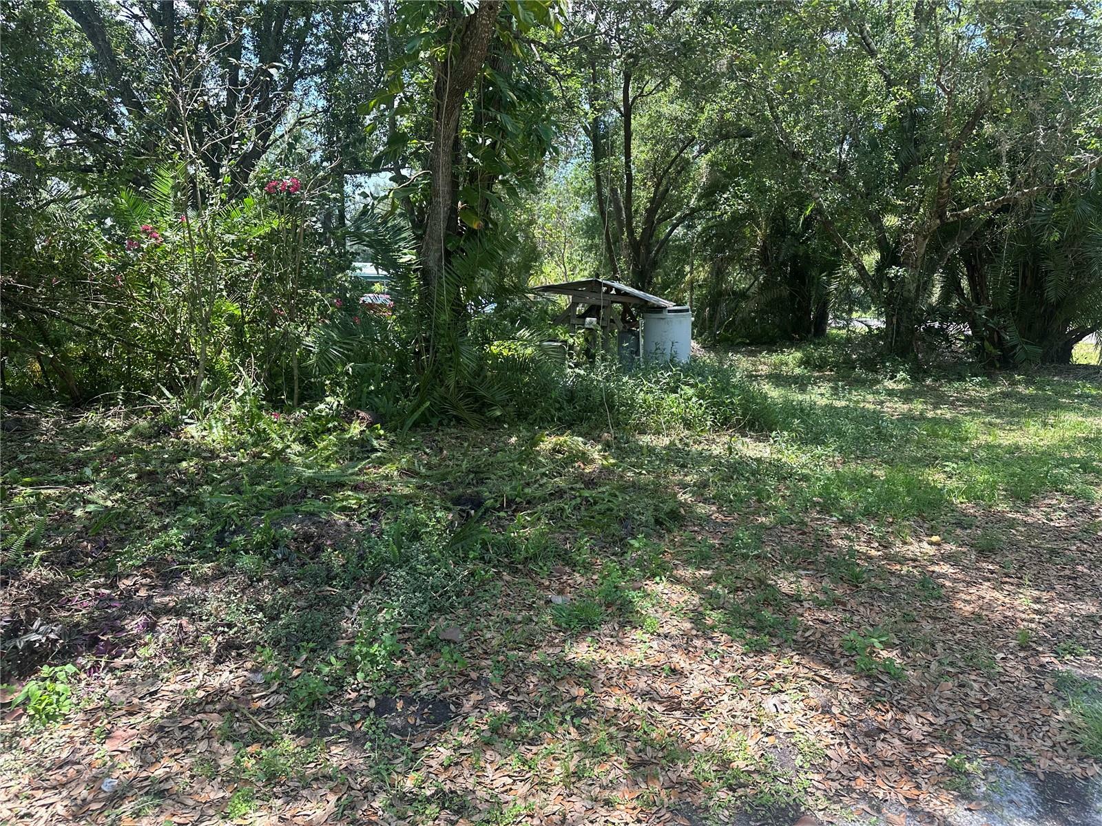Property Photo: 1456 NE Forrest Avenue FL 34266