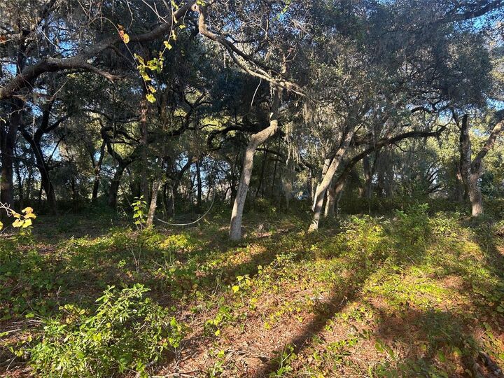 Property Photo: SE 49th Street Road FL 32183