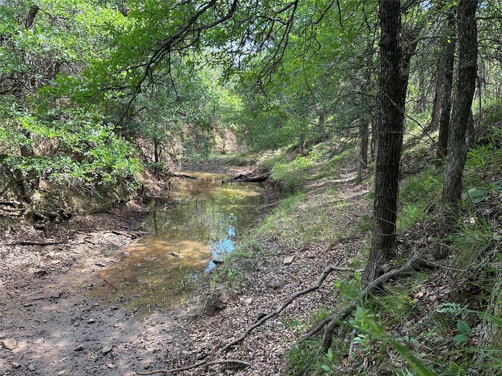 Property Photo: Tbd County Road 291 TX 76802