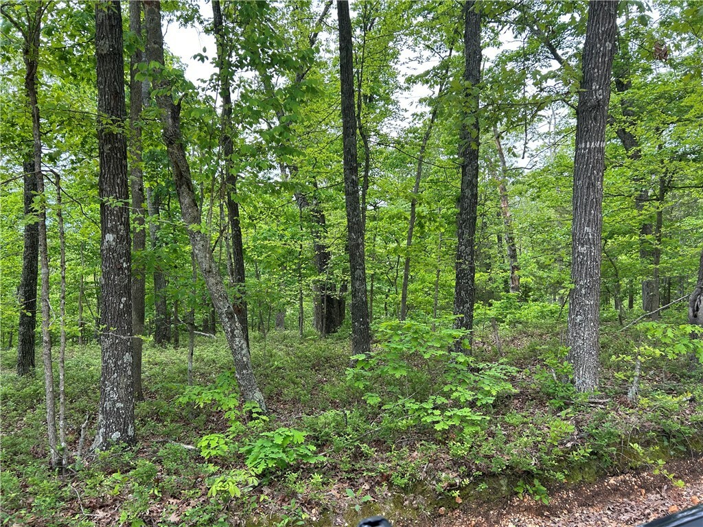 Property Photo: Arabian Lane AR 72756