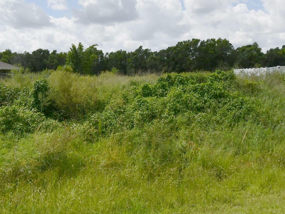 Property Photo: 5382 NW West Paden Circle FL 34986