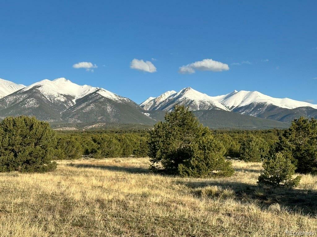 Property Photo: 14041 Highway 285 CO 81201