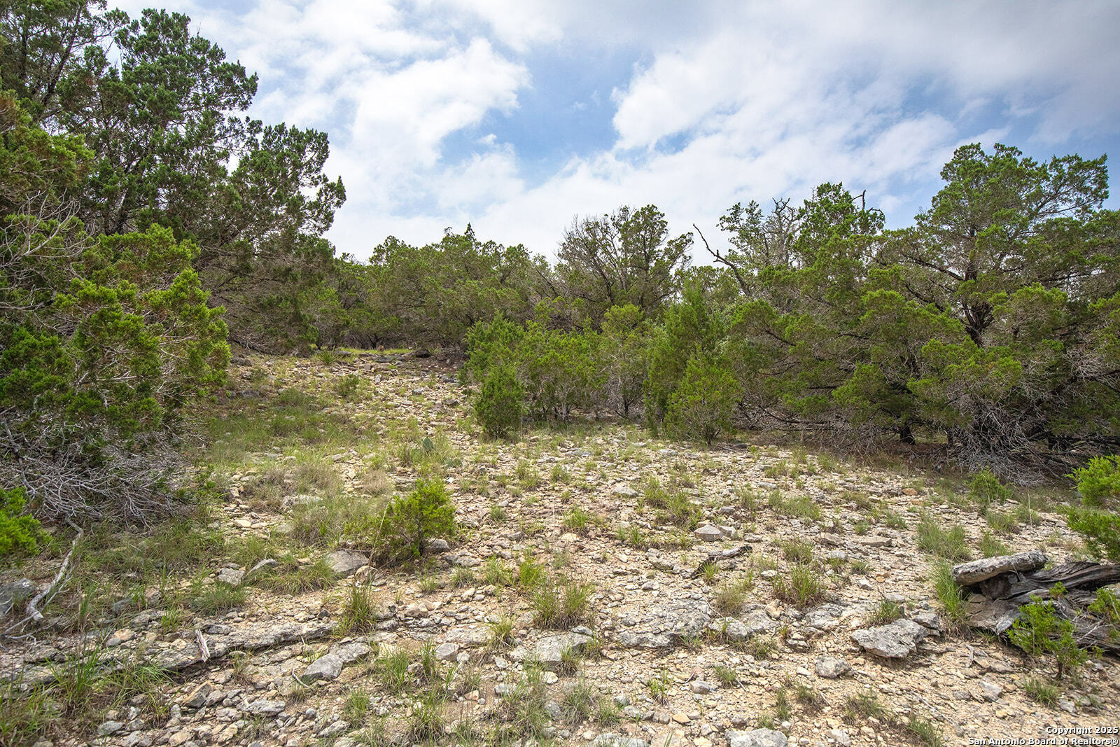 Property Photo: 1510 Desiree TX 78133