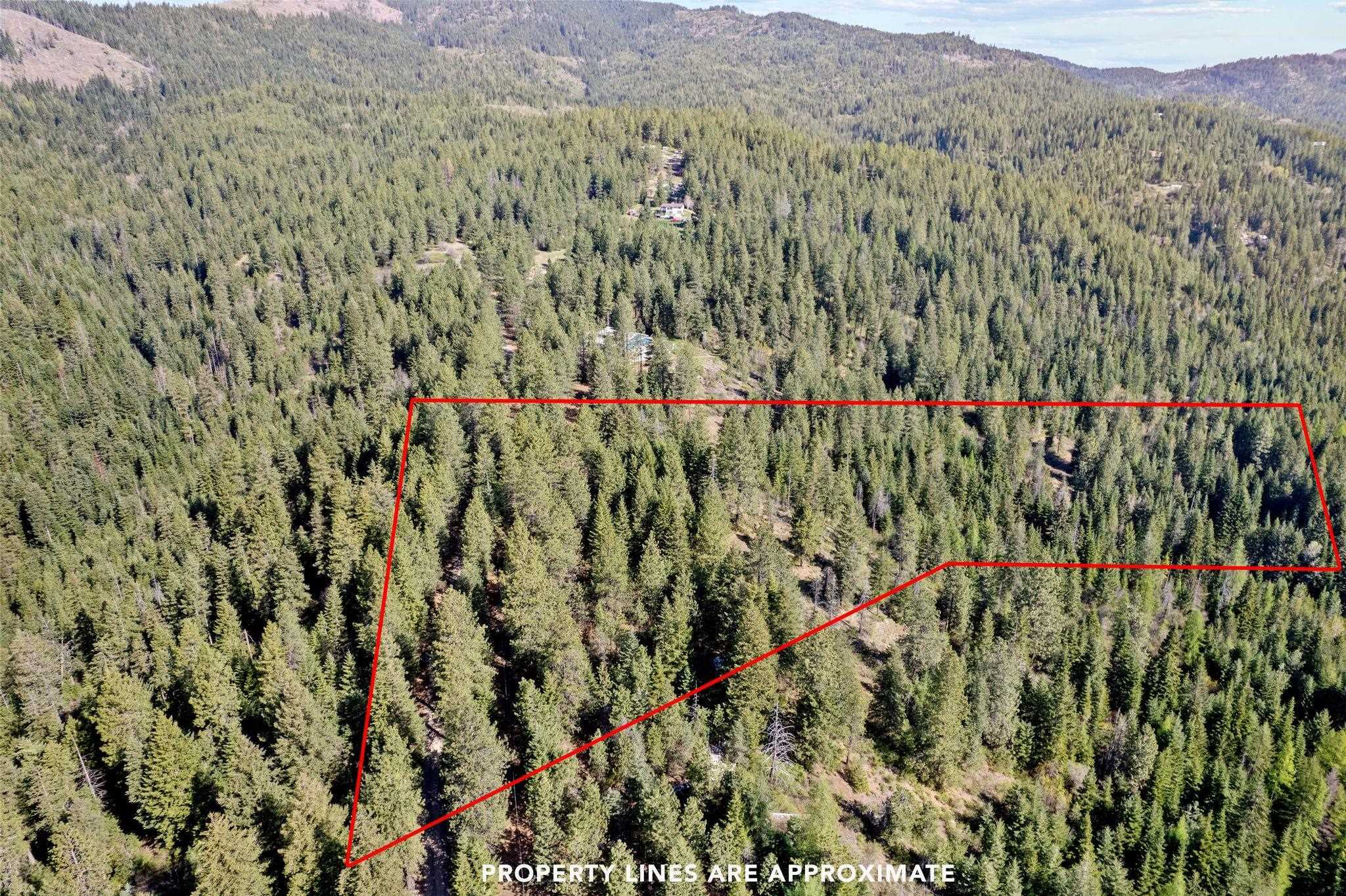 Property Photo: 12703 S Alpine Fern Ln WA 99030