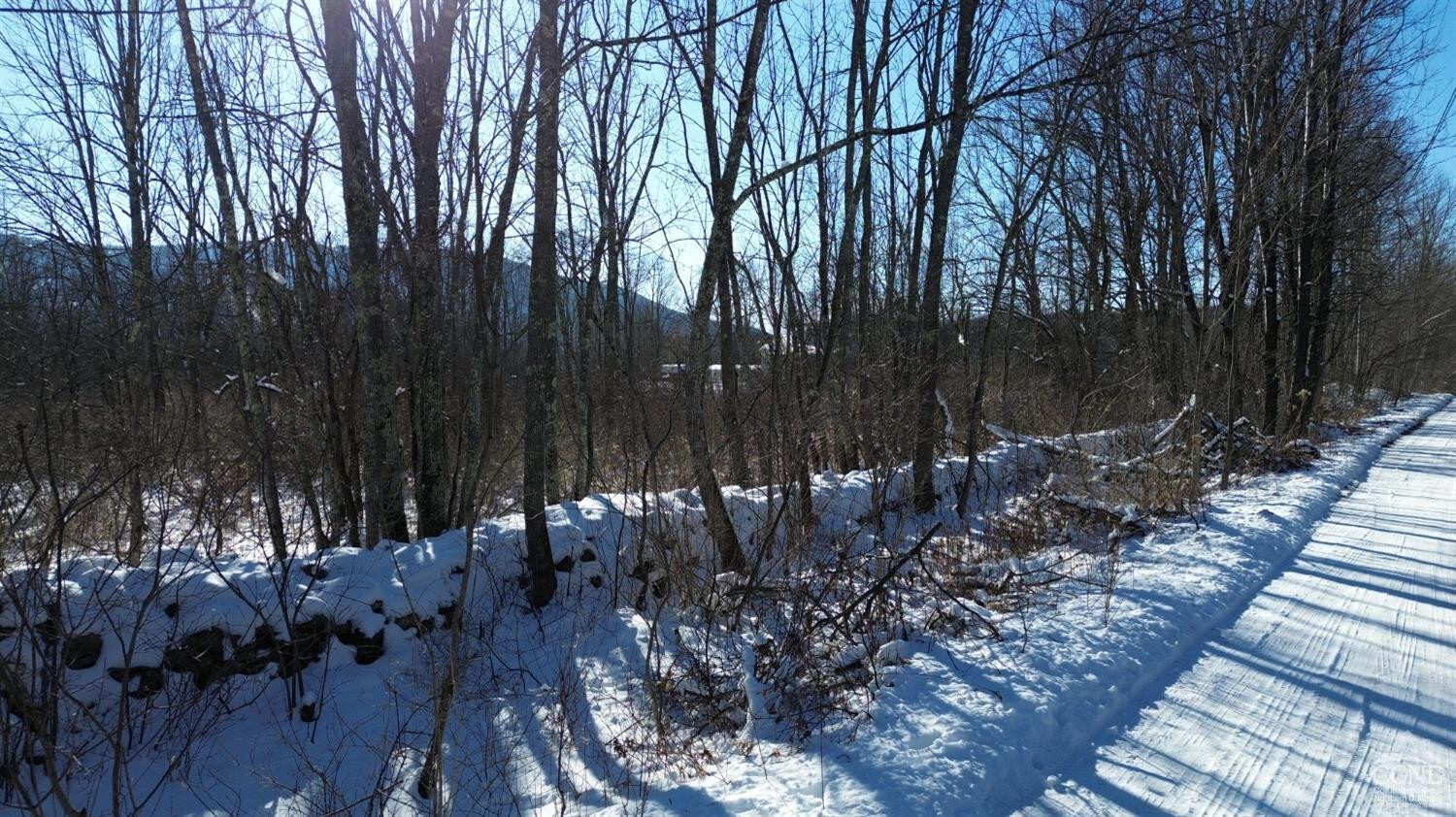 Property Photo: 0 Trail View Lane NY 12496