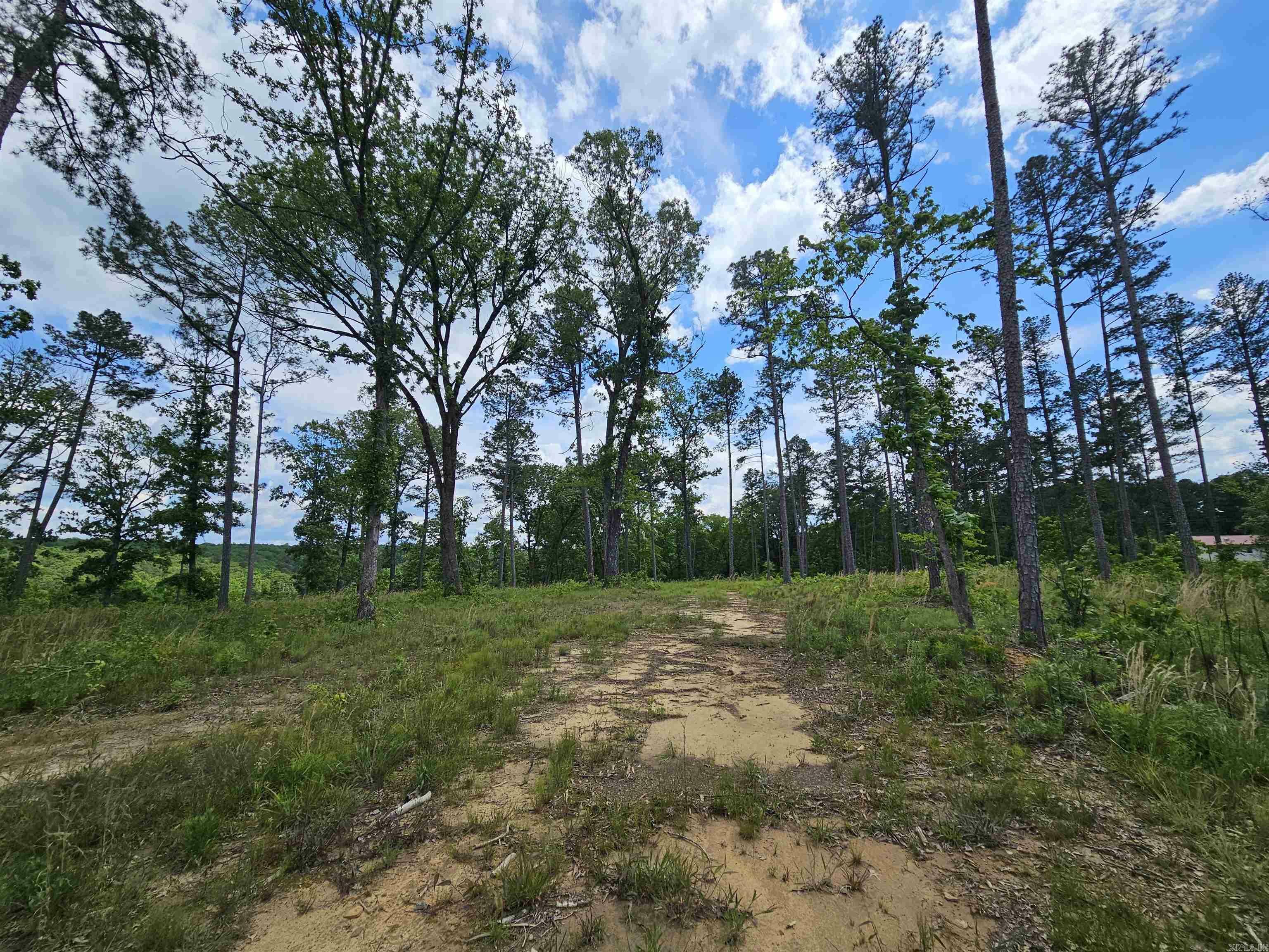 Property Photo: 0 Newton Rd AR 72031