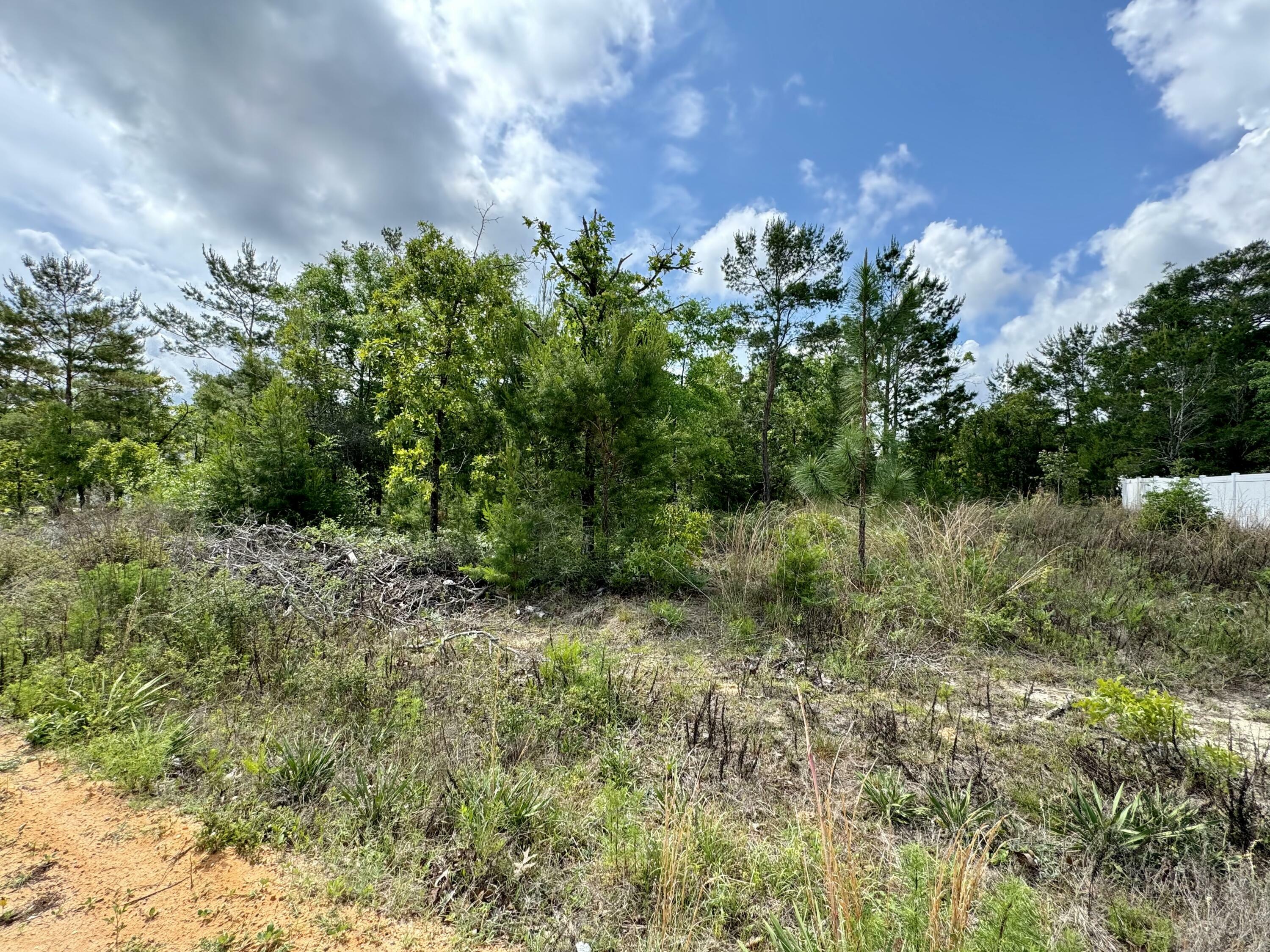 Property Photo:  Lot 3 E Marigold Avenue  FL 32433 
