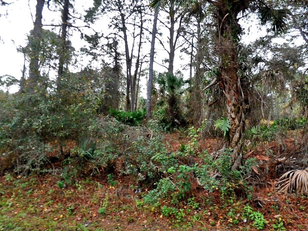 Property Photo:  Lady Slipper Ave.  FL 34291 