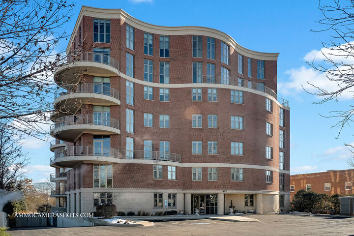Property Photo: 520 S Washington Street 201 IL 60540