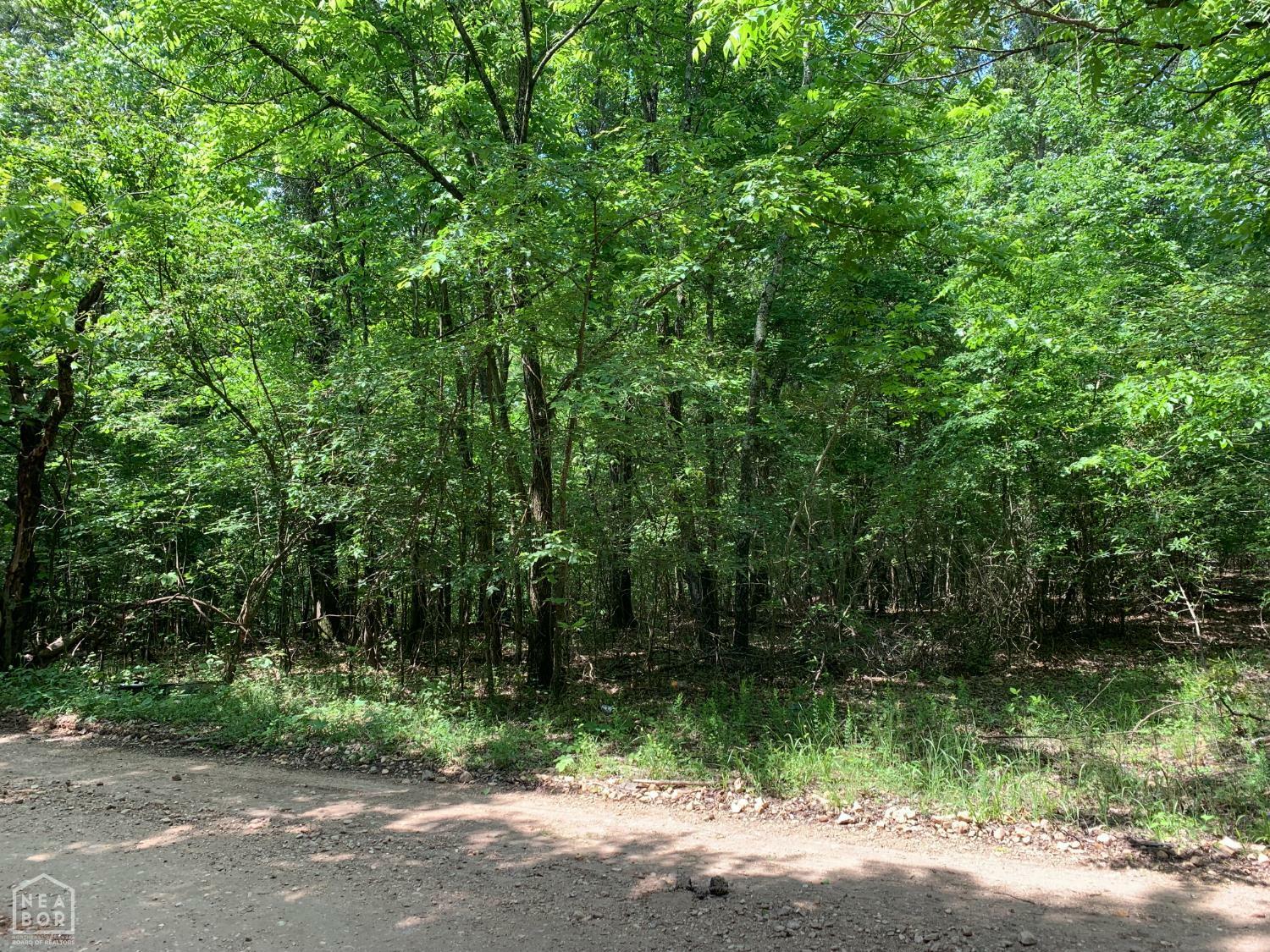 Property Photo: 10 County Road 331 AR 72416