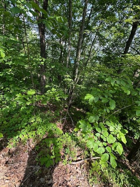 Property Photo: 16 Ac Campbell Cove Creek TN 37391