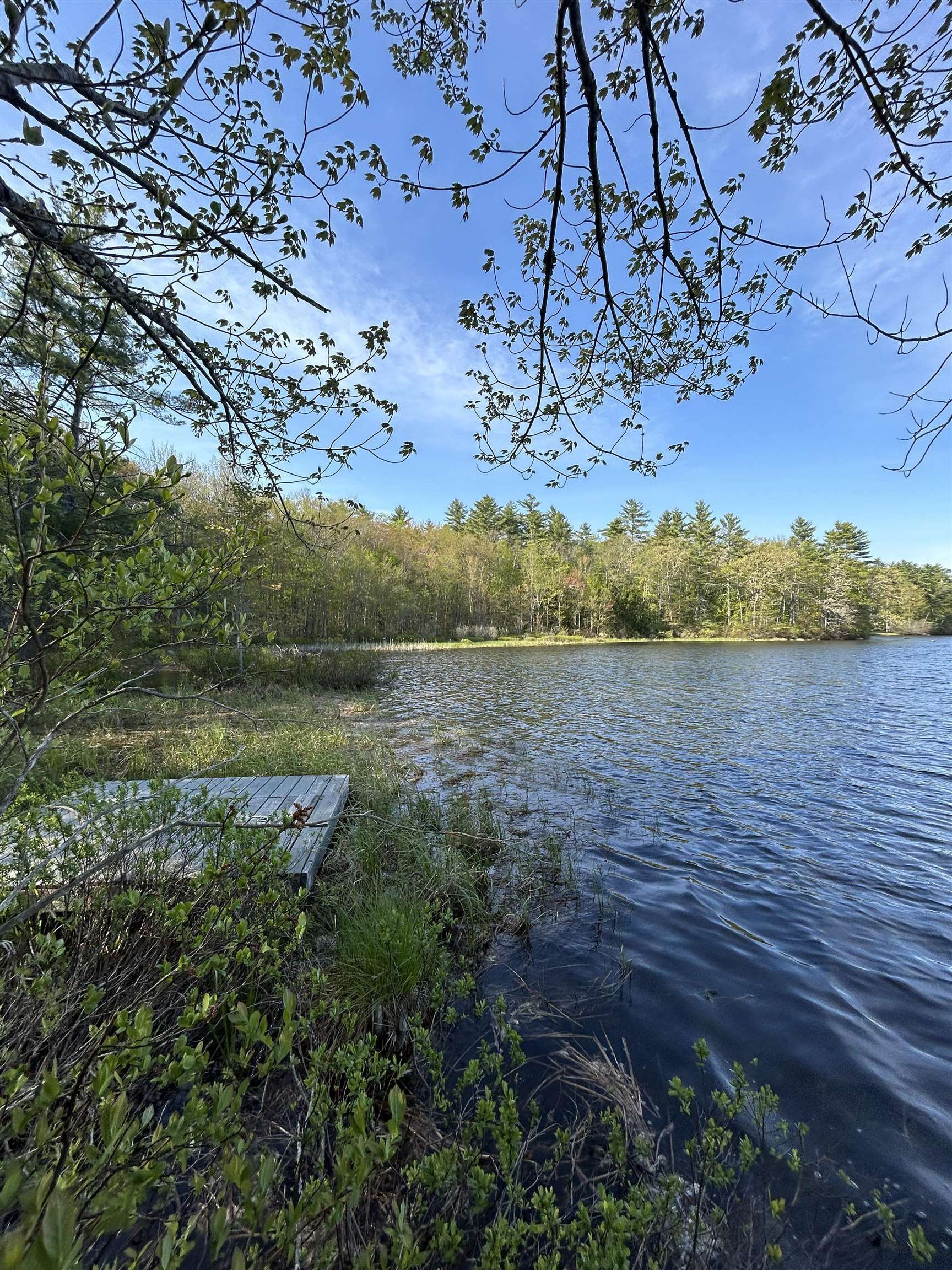 Property Photo: 00 Flower Drive NH 03825