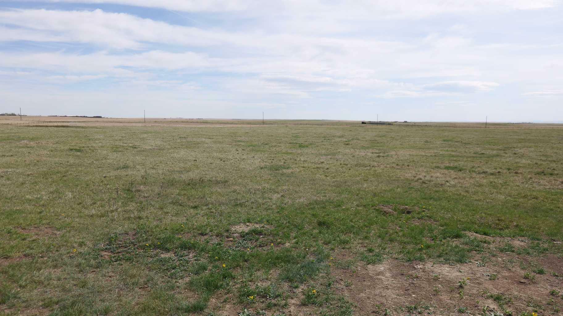 Property Photo: Vulcan County AB T0L 2B0
