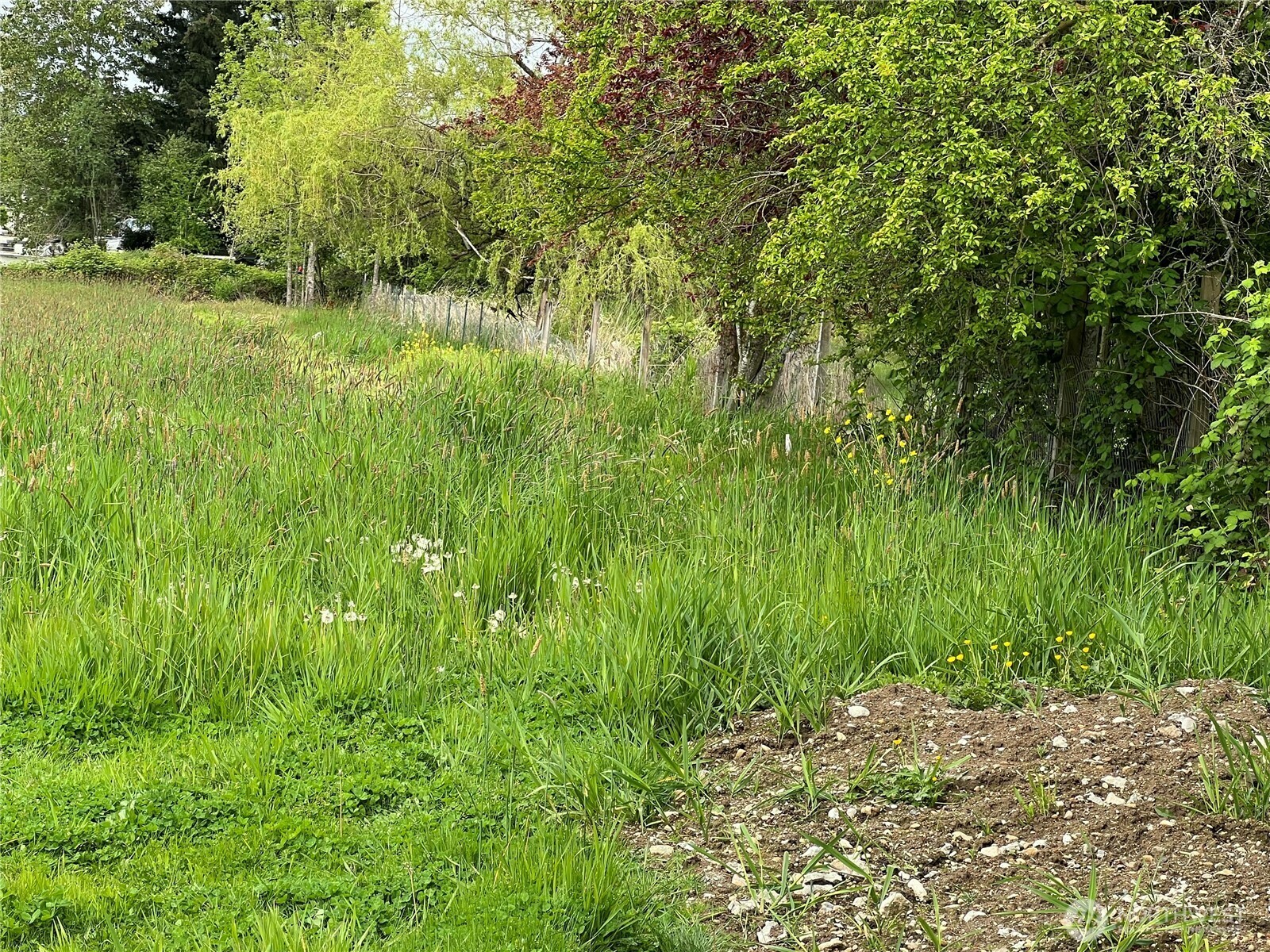 Property Photo: 10512 E 22nd Avenue E WA 98445