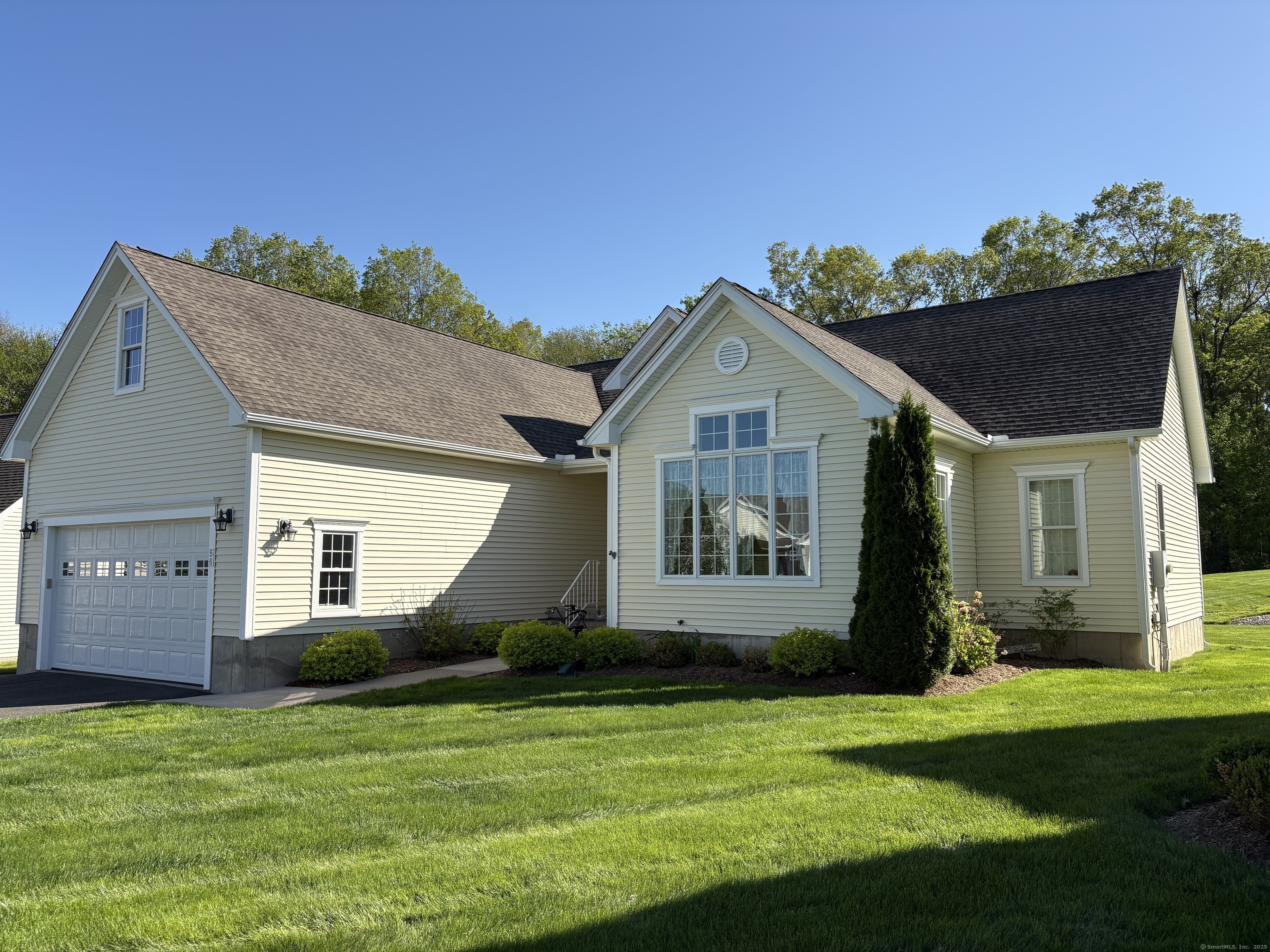 Property Photo: 56 Boysenberry Court 56 CT 06078