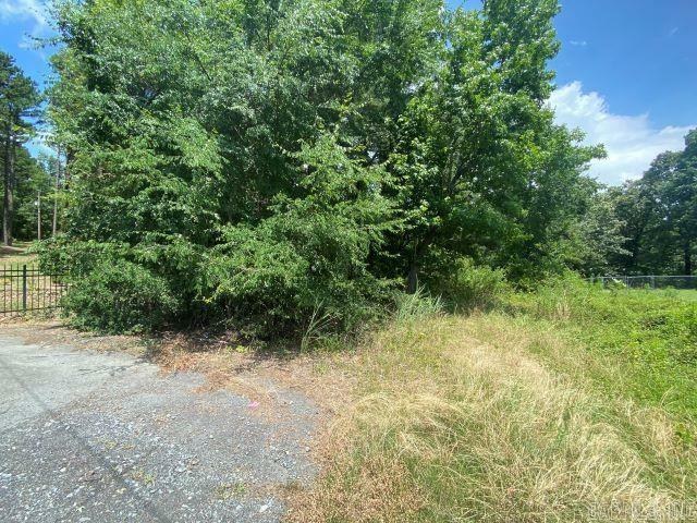 Property Photo: 0 Panther Mountain Road AR 72113