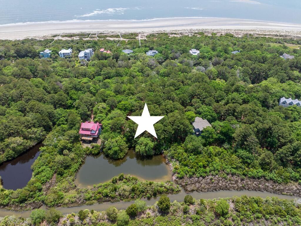Property Photo:  260 Pelican Flight Drive Lot 76  SC 29451 