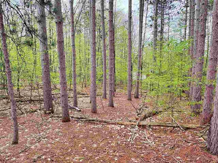 Property Photo: Tbd Del Mason MI 49615