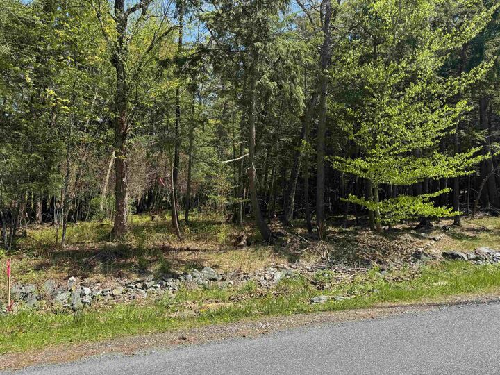 Property Photo: 169 Slayton Hill NH 03766
