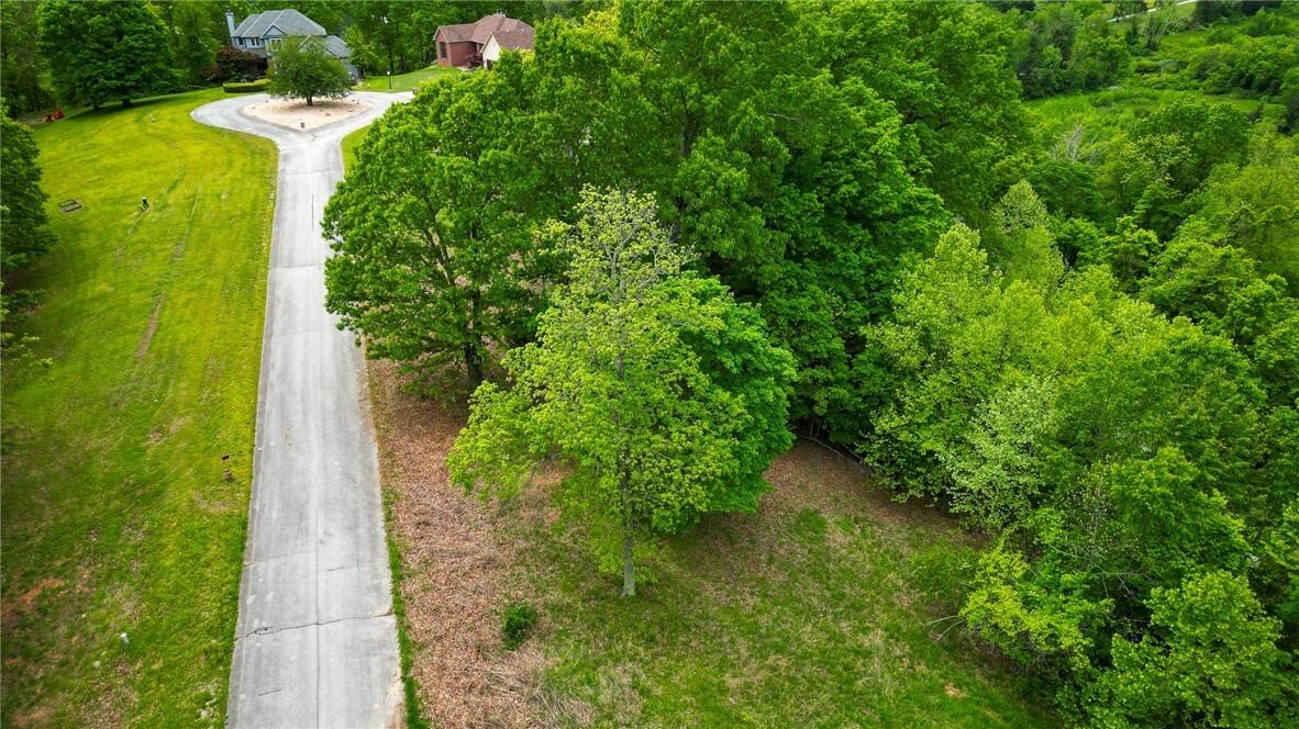 Property Photo: Tbd Mountain Lake Court AR 72756