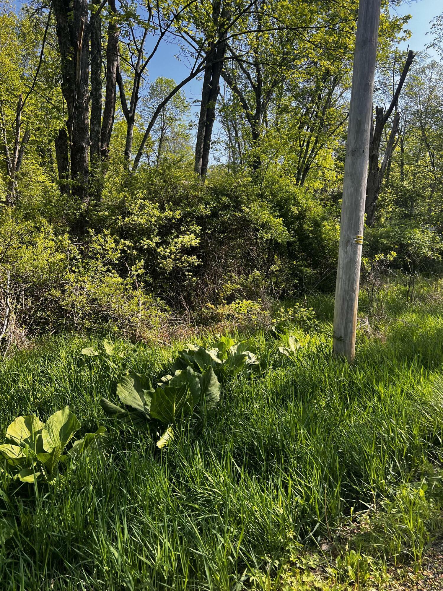 Property Photo: Lot 412-413 Marilou Lane PA 18321