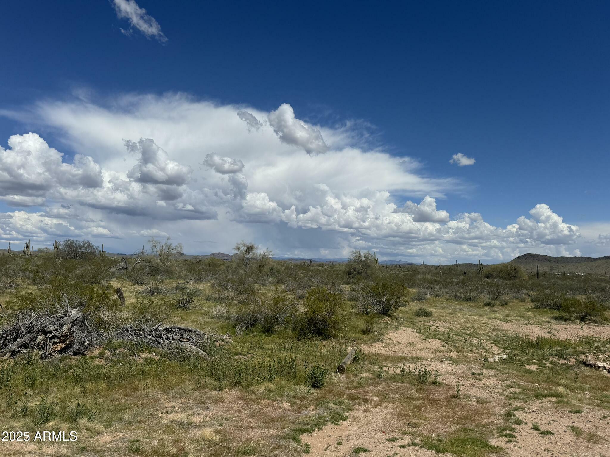 Property Photo: 33098 W Galvin Street 64 AZ 85390