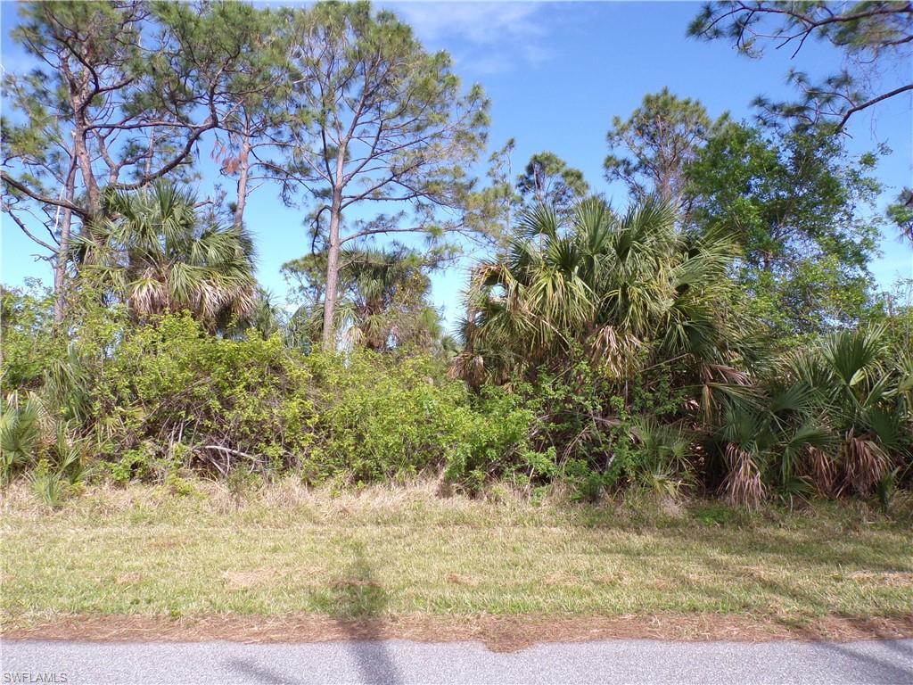 Property Photo: 3142 Callisto St FL 33981