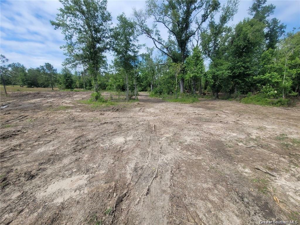 Property Photo: 0 John McFatter Road LA 70657