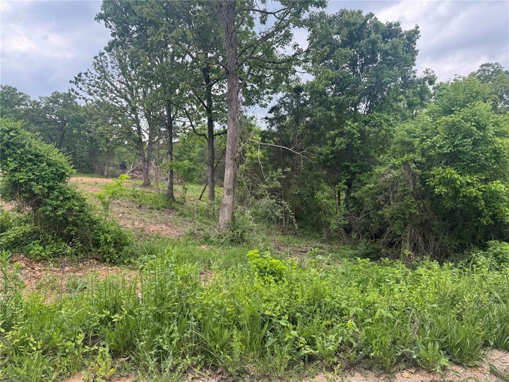 Property Photo: 24679 Mineral Drive MO 65536