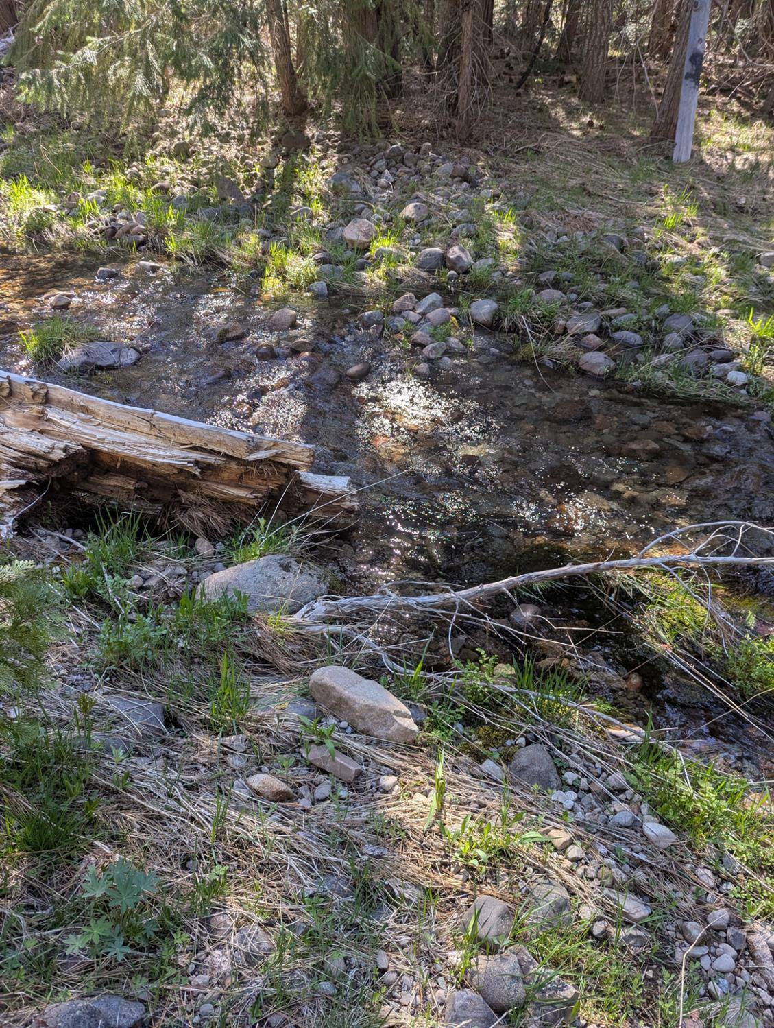 Property Photo: 0 Texas Hill CA 95715