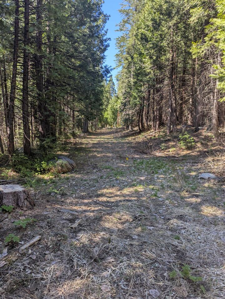 Property Photo:  0 Texas Hill  CA 95715 