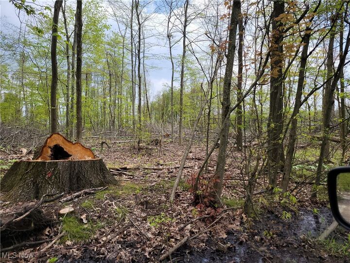 Property Photo: 3705 Alexander Road OH 44201