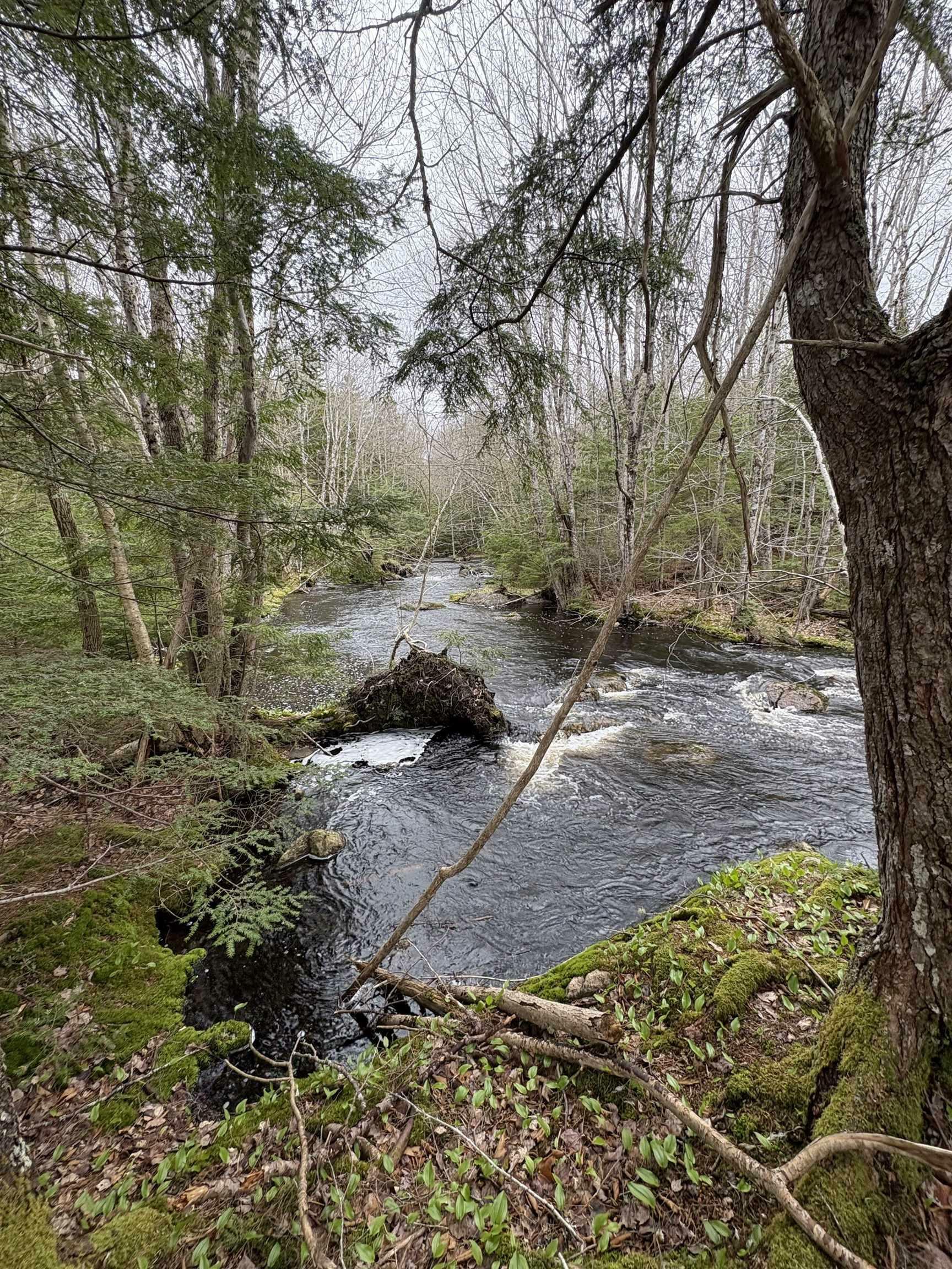 Property Photo:  Lot Mc - 6 New Ross Road  NS B0N 2T0 