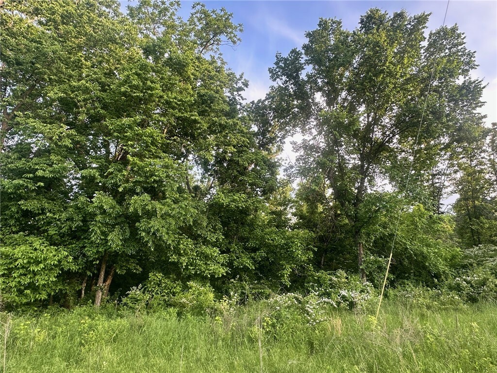 Property Photo: Tbd Lockhart Drive AR 72715