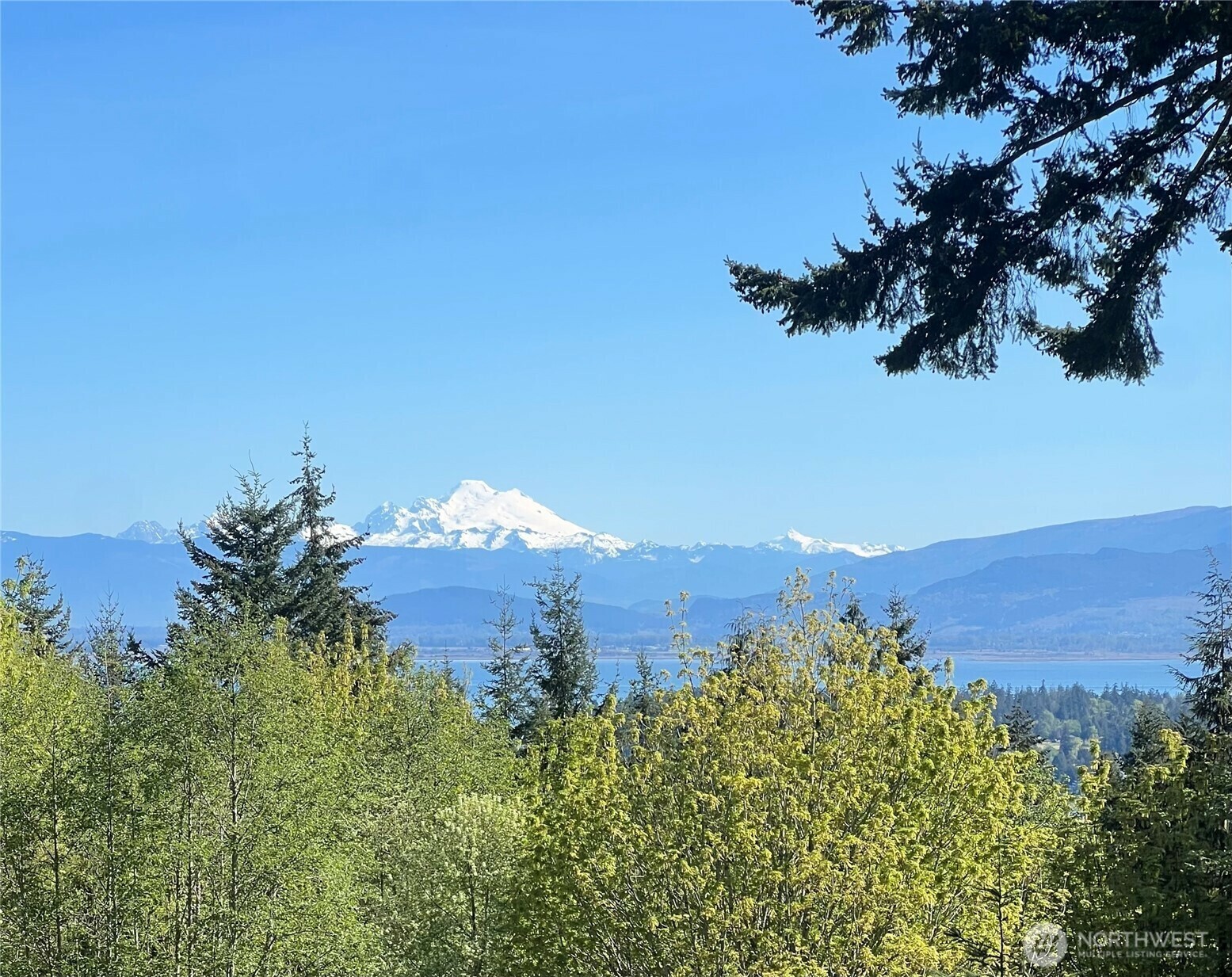 Property Photo: 298 Echo Ridge Way WA 98282