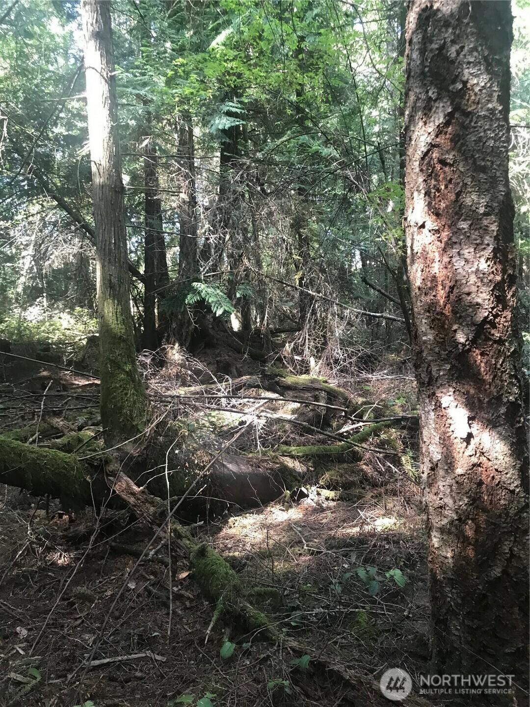 Property Photo: 0 Channel Road WA 98261