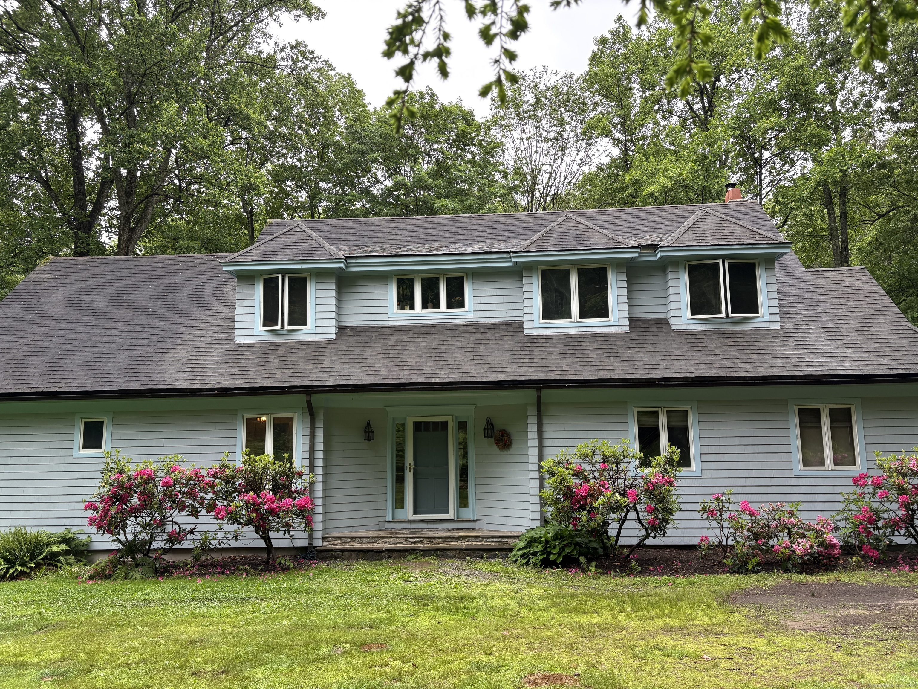 Property Photo:  252 Chestnut Hill Road  CT 06419 
