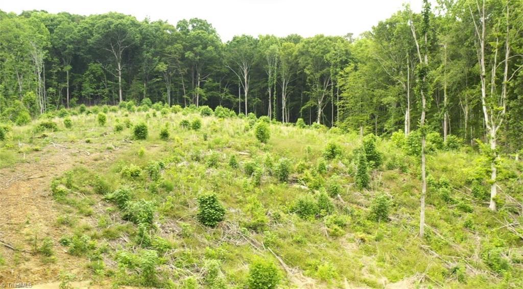 Property Photo: Lot 9 Skeens Mill Road NC 27370